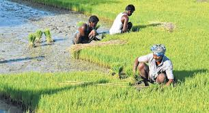 ଭୁବନେଶ୍ୱରରେ ଆଜି ରାଜ୍ୟ କ୍ୟାବିନେଟ ବୈଠକ